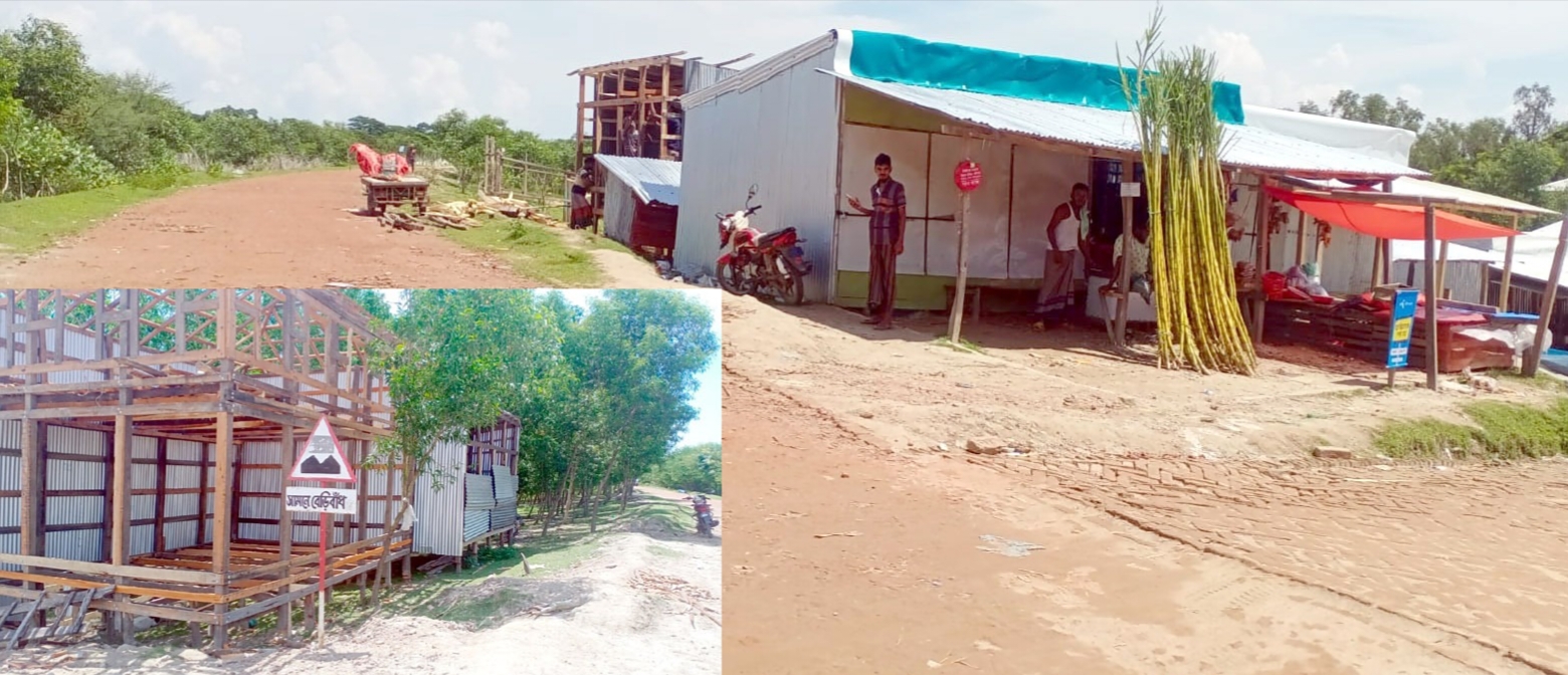 কুয়াকাটা-গঙ্গামতি বেড়িবাঁধের স্লোপে নির্বিঘ্নে তোলা হচ্ছে স্থাপনা,কেটে ফেলছে বনবিভাগের গাছ