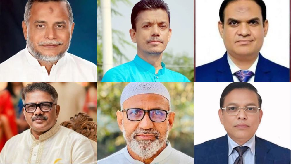 জাতীয় সংসদের হুইপ হলেন যারা