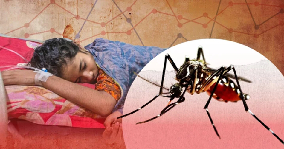ডেঙ্গুতে সাতদিনে ৩৩ জনের মৃত্যু