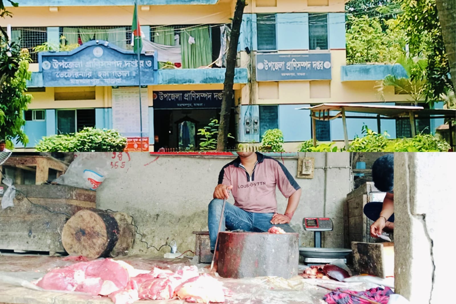 মহম্মদপুরে পশু জবাই ও মাংস বিক্রিতে চরম অব্যবস্থাপনা: জনস্বাস্থ্য হুমকির মুখে