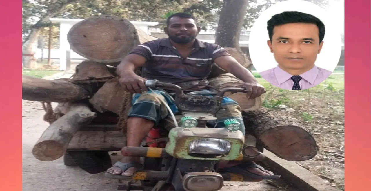 মহম্মদপুরে সরকারি গাছ উধাও অভিযোগের তীর প্রেসক্লাব সভাপতির দিকে