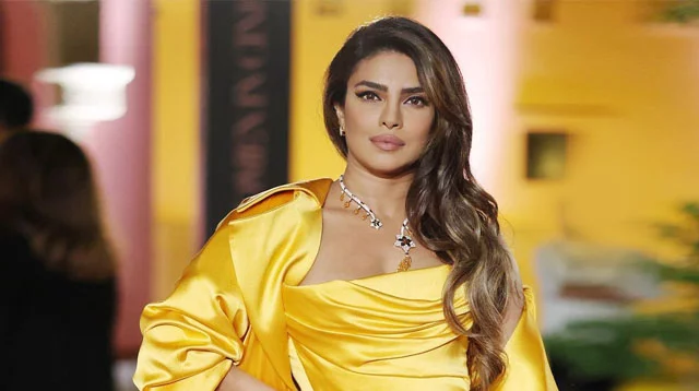 আলো আমাদের ঠিক পথ দেখাবে : প্রিয়াঙ্কা