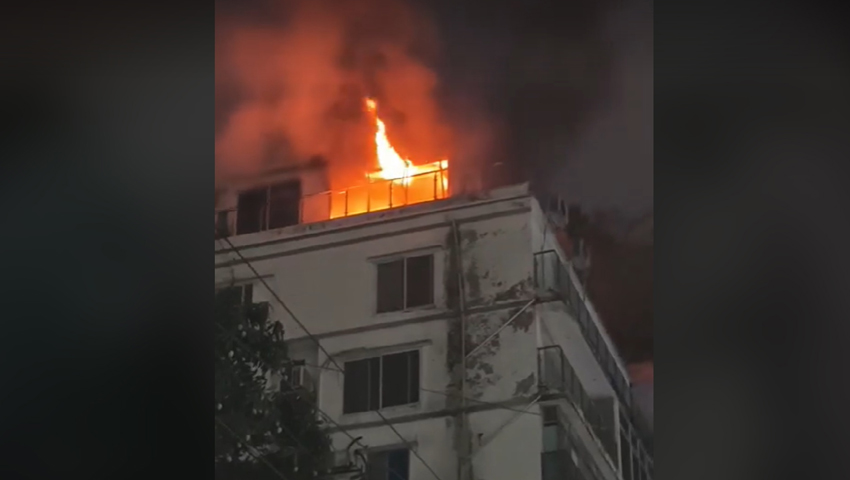 মোহাম্মদপুরে বহুতল ভবনে আগুন