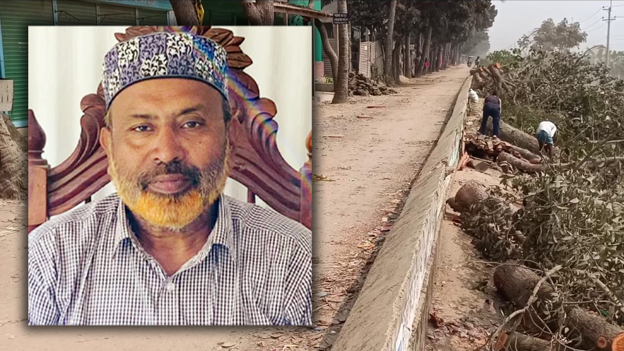 বেড়িবাঁধের গাছ কাটায় মামলা, বিএনপি নেতার সব পদ স্থগিত