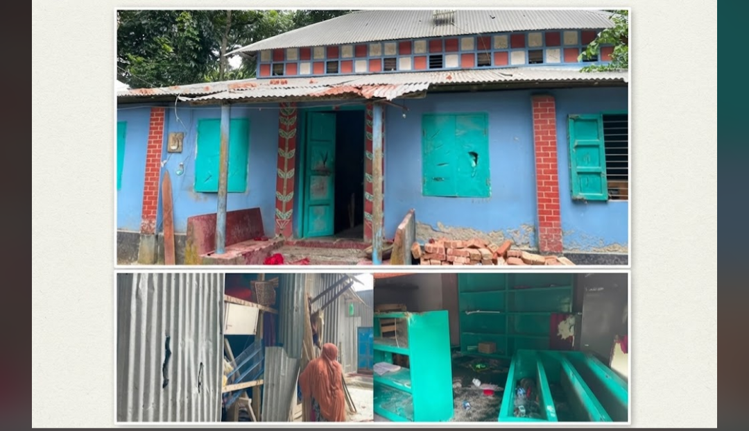 সালথায় ছাত্রদল নেতার নেতৃত্বে বাড়িঘরে হামলা-ভাঙচুরের অভিযোগ