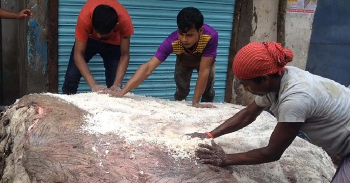 চামড়াতে লবণ দিয়ে নিয়ে এলে সরকার নির্ধারিত মূল্য পাওয়া যাবে