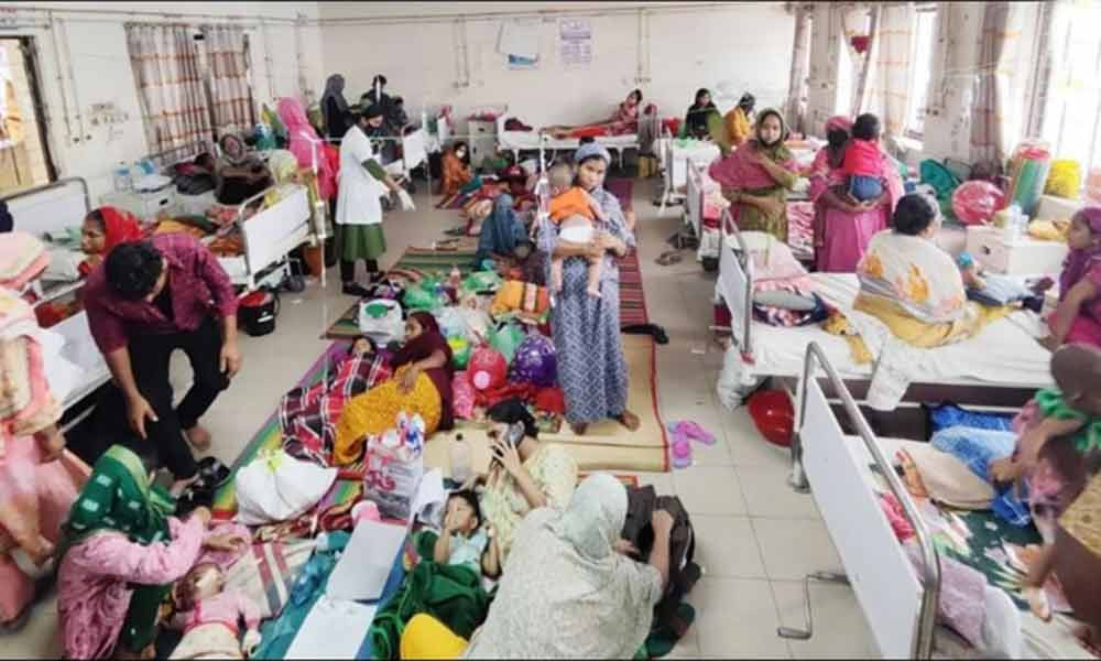 হাম নিয়ে ড. ইউনূস সরকারকে সতর্ক করেছিল ইউনিসেফ