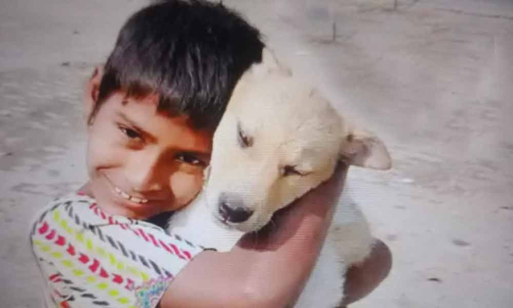 বাগেরহাট মাজারের দীঘিতে কুমির টেনে নেওয়া শিশুর মরদেহ উদ্ধার
