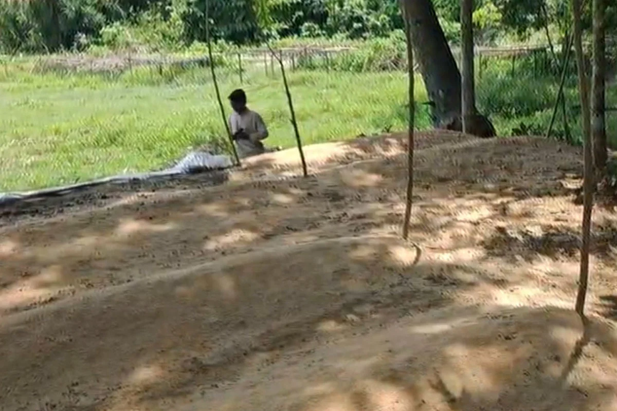 পাশাপাশি কবরে সমাহিত একই পরিবারের পাঁচ সদস্য
