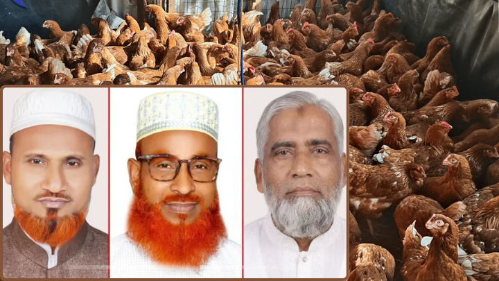 মুরগির বিষ্ঠা নিয়ে বিরোধের মামলা: উপজেলা জামায়াতের আমির-সেক্রেটারিসহ তিনজন কারাগারে