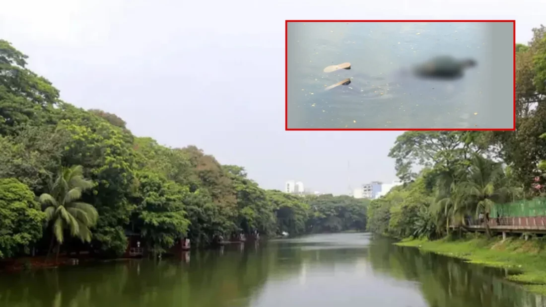 ধানমন্ডি লেক থেকে ভাসমান মরদেহ উদ্ধার