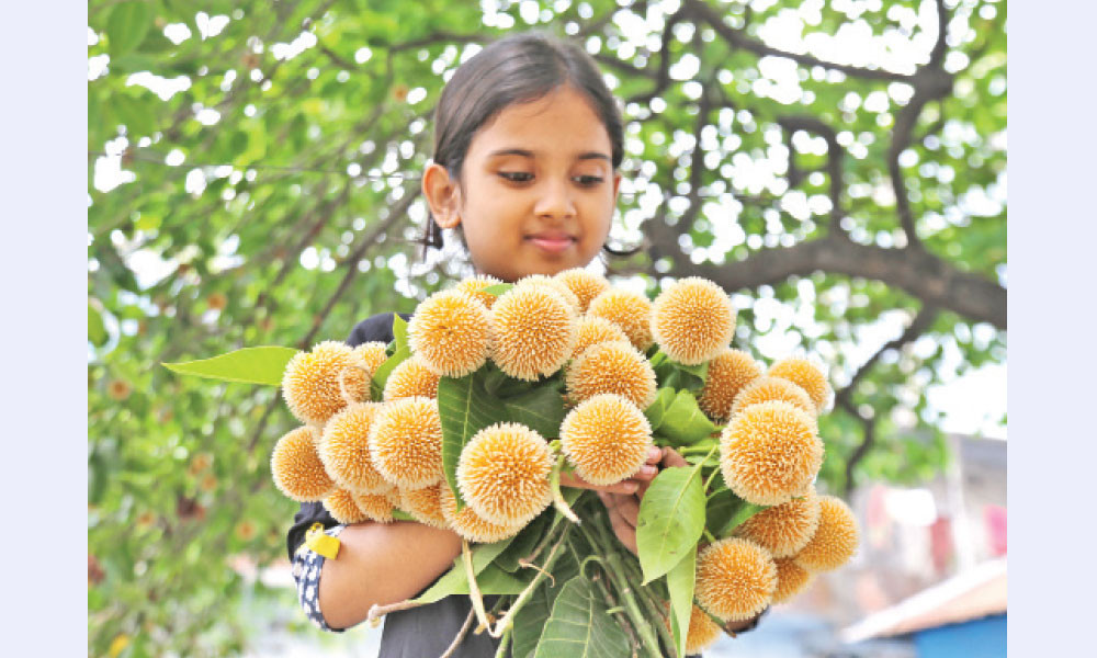 আজ আষাঢ়ের প্রথম দিন