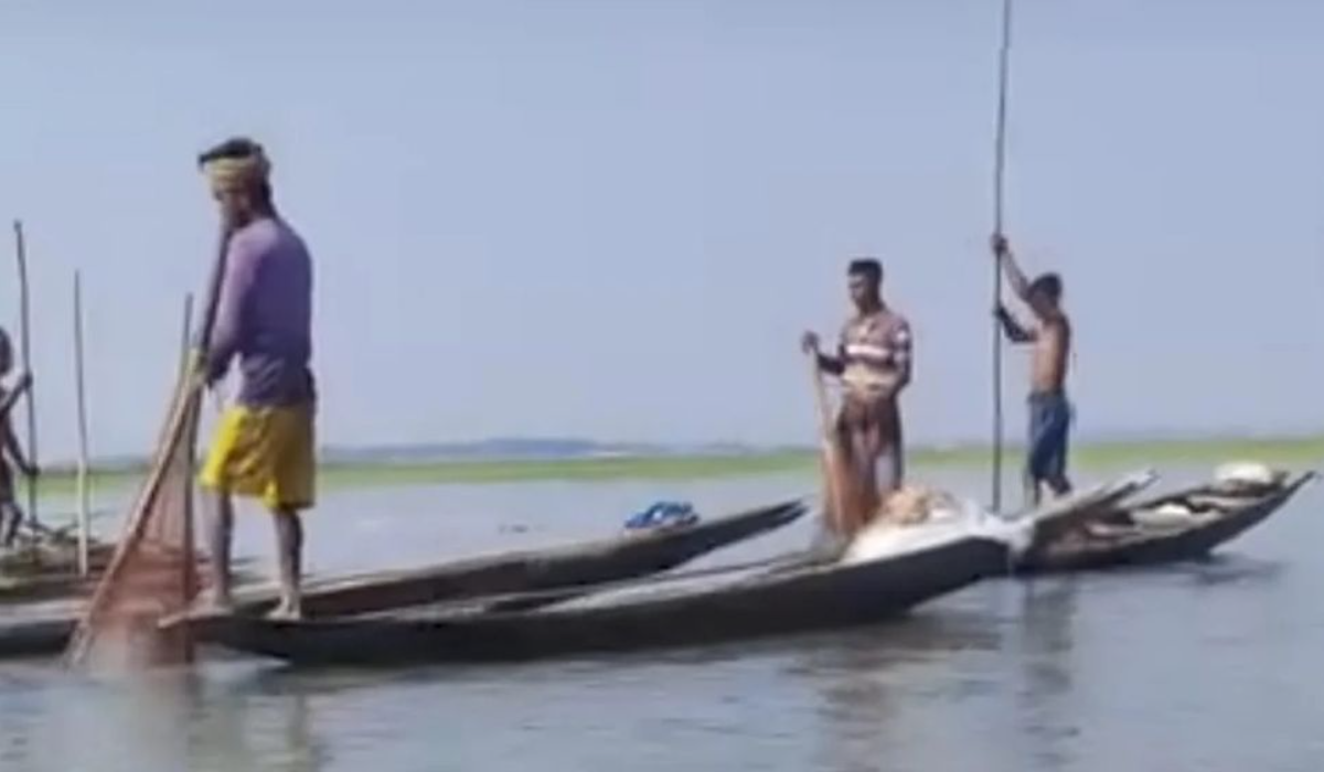শামুক তুলতেও দিতে হয় চাঁদা!