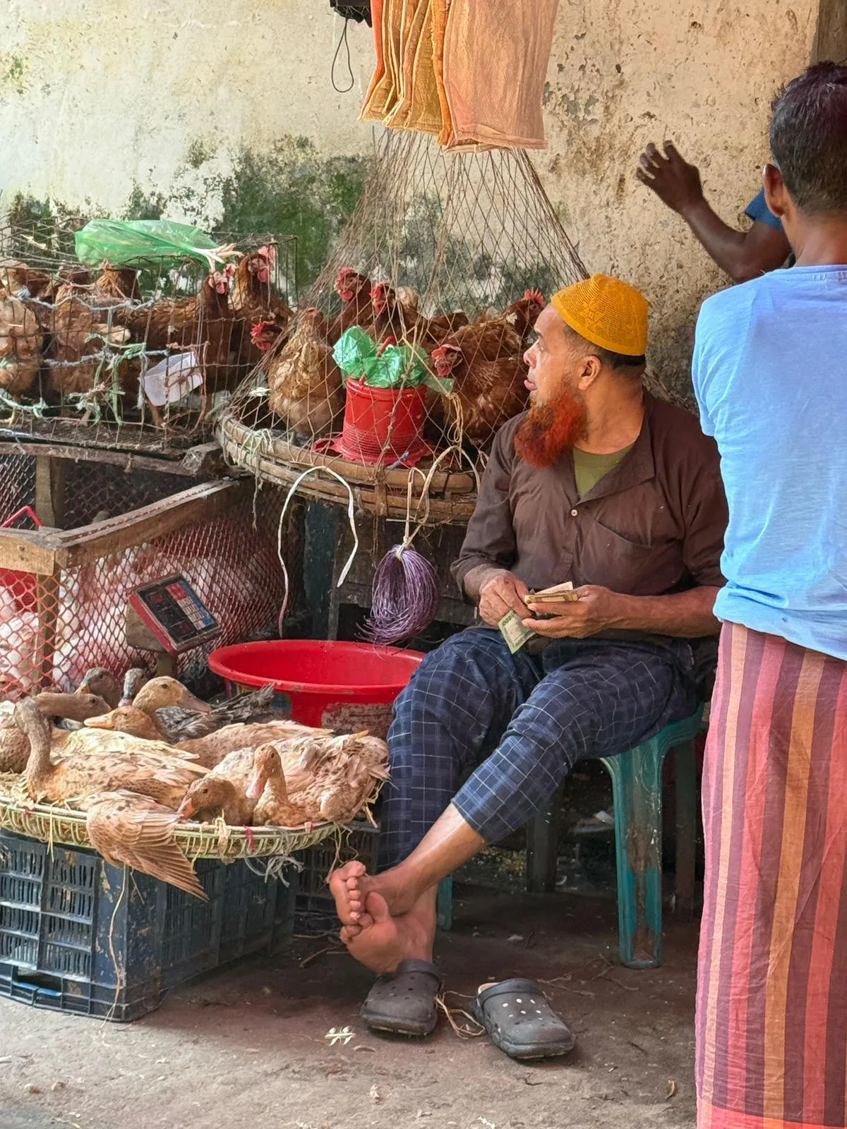 কলাপাড়া পৌরসভায় বরাদ্দকৃত মুরগি বাজার থাকা সত্বেও সড়কে বসে বিক্রি