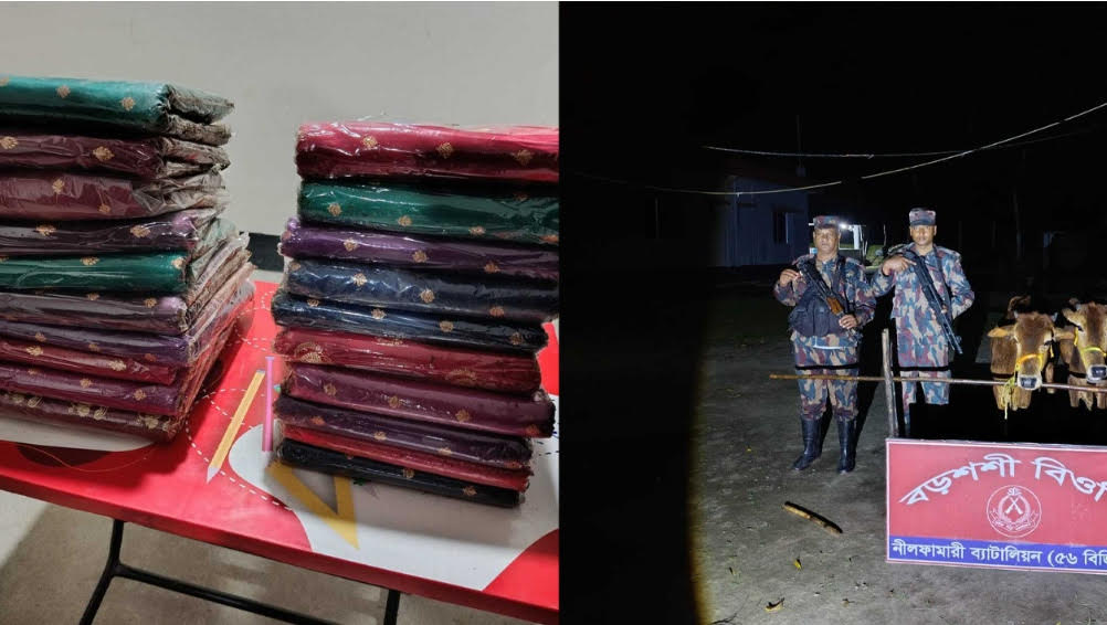 পঞ্চগড় সীমান্তে বিজিবির অভিযানে বিপুল পরিমাণ শাড়ি ও গরু জব্দ 