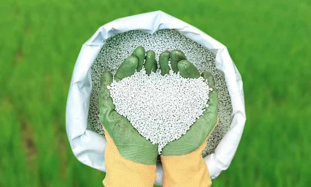 সরকারি দামে মিলছে না সার, দিশাহারা কৃষক