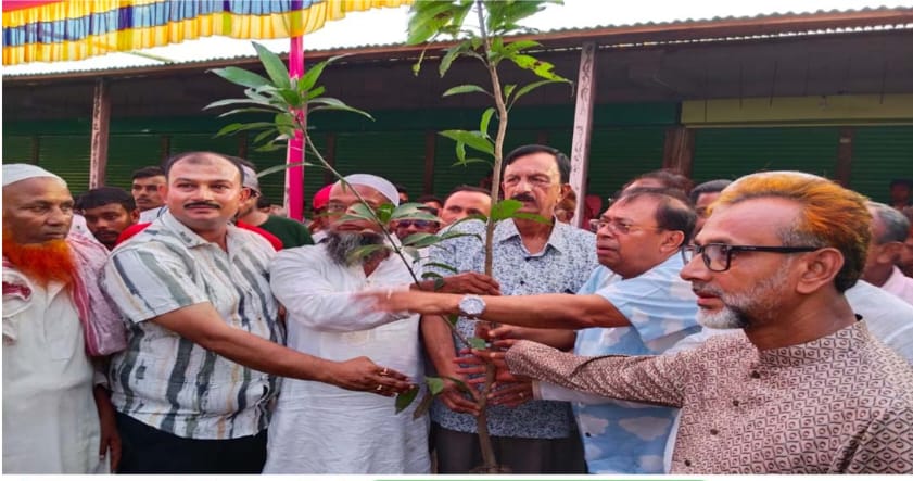 বোয়ালমারীতে গাছের চারা বিতরণ করলেন চেয়ারম্যান প্রার্থী এলিম বিশ্বাস
