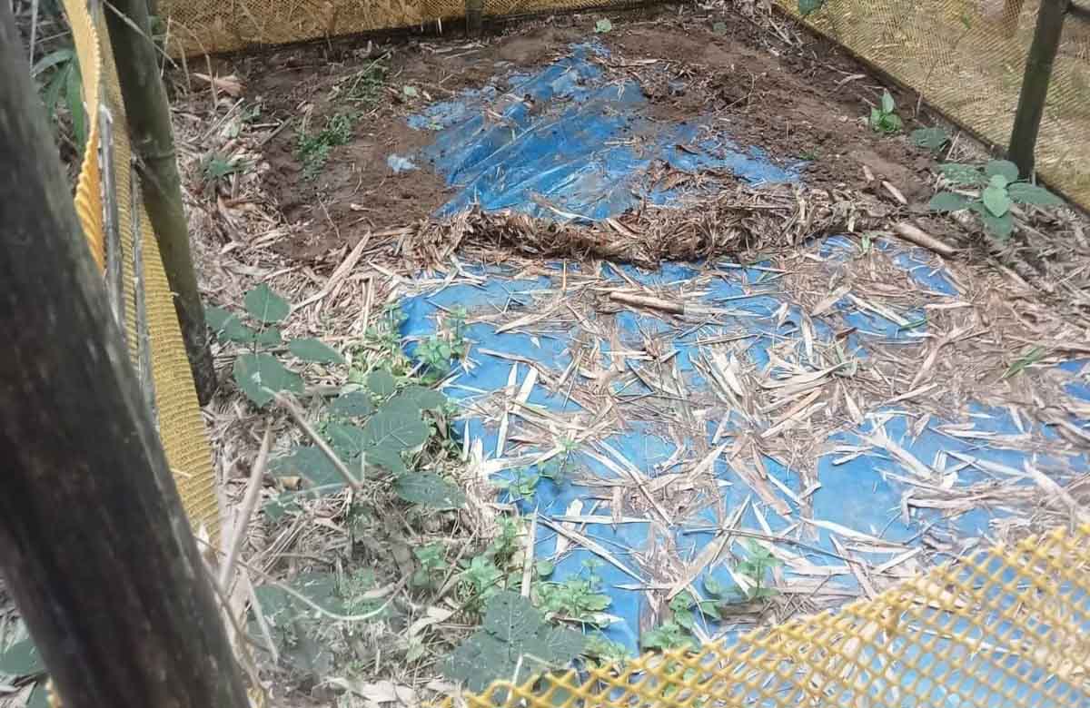 ঠাকূরগাঁওয়ে কঙ্কাল চূরি, মুসলিম সম্প্রদায়ে আতঙ্ক