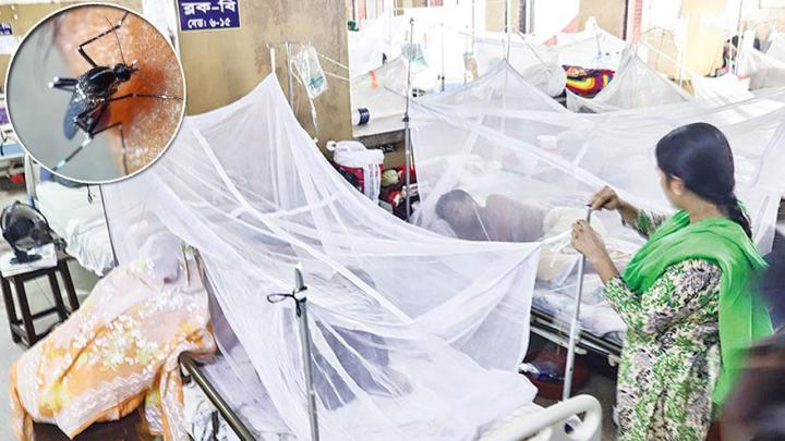 ডেঙ্গুতে না ফেরার দেশে আরও ৭ জন, মৃত্যু ছাড়াল ৫০০ ডেঙ্গুতে না ফেরার দেশে আরও ৭ জন, মৃত্যু ছাড়াল ৫০০