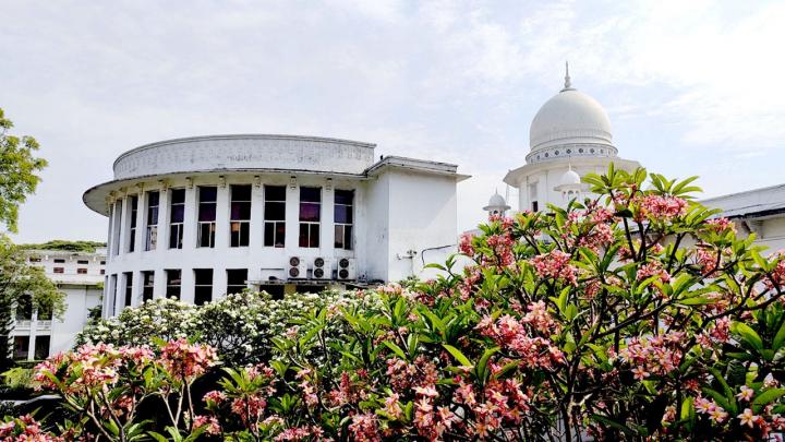 বনশ্রীর মেরাদিয়ায় কোরবানির পশুর হাট বসানো যাবে না : হাইকোর্ট