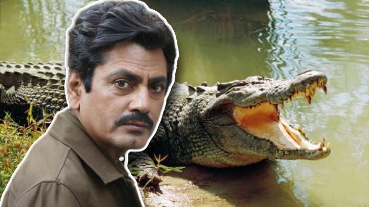 মৃত্যুকে চোখ রাঙিয়ে কুমির ভর্তি লেকে ঝাঁপ দিলেন নওয়াজ!