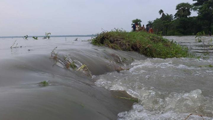 ডিমলা ঝুনাগাছ চাপানী ইউনিয়ন পরিষদে ভিজিএফ চাল বিতরণে অনিয়মের অভিযোগে