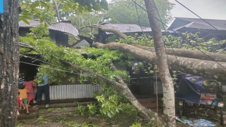 বরগুনার বেতাগীতে কালবৈশাখী ঝড়ে গাছ উপরে ঘরবাড়ি বিধ্বস্ত