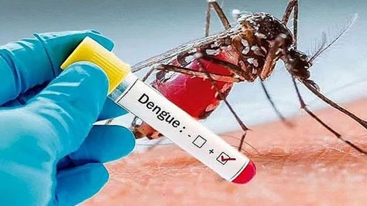 ডেঙ্গুতে আরো ২ জনের মৃত্যু, শনাক্ত ৩৯২