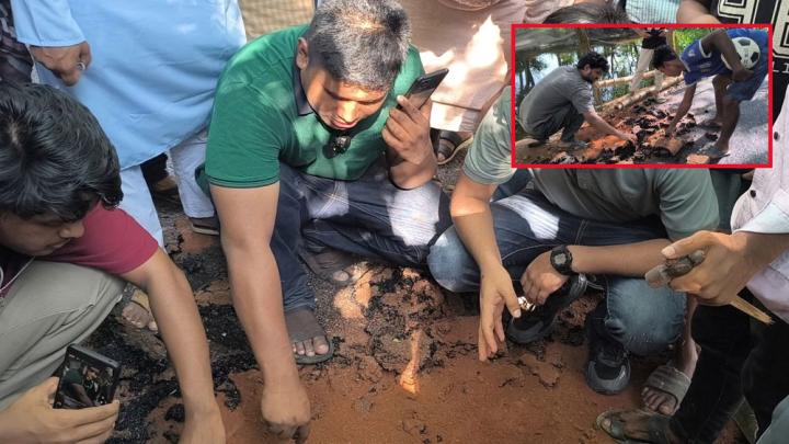 হাত দিতেই উঠে এলো কার্পেটিং, কাজ বন্ধ করে দিলেন হাসনাত আব্দুল্লাহ