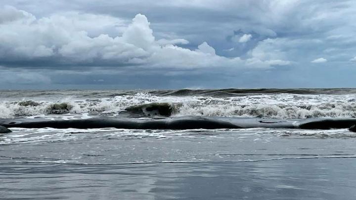 সাগরে ফের লঘুচাপের আভাস, বাড়বে বৃষ্টি