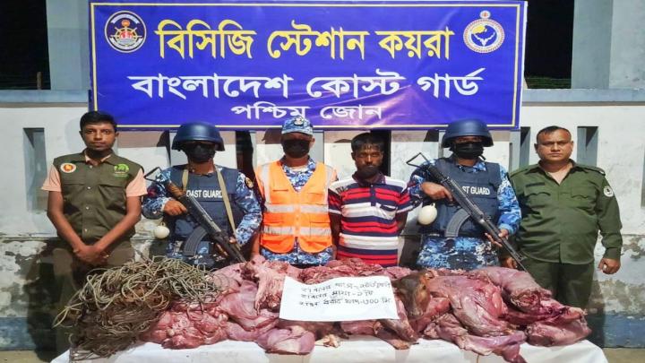 সুন্দরবনে থামছেনা হরিণ শিকার, ১০৩ কেজি হরিণের মাংস সহ ১ শিকারী আটক