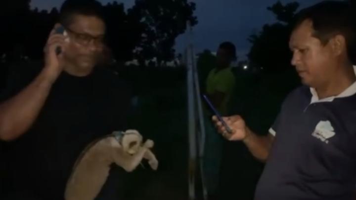 শ্রীমঙ্গলে বিদ্যুতের তারে ঝুলে মারা গেল বিপন্ন লজ্জাবতী বানর