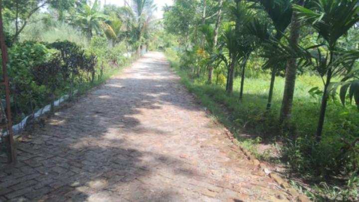 বরগুনায় সরকারি বরাদ্দে ইউপি সচিবের বাগান বাড়ির রাস্তা তৈরি