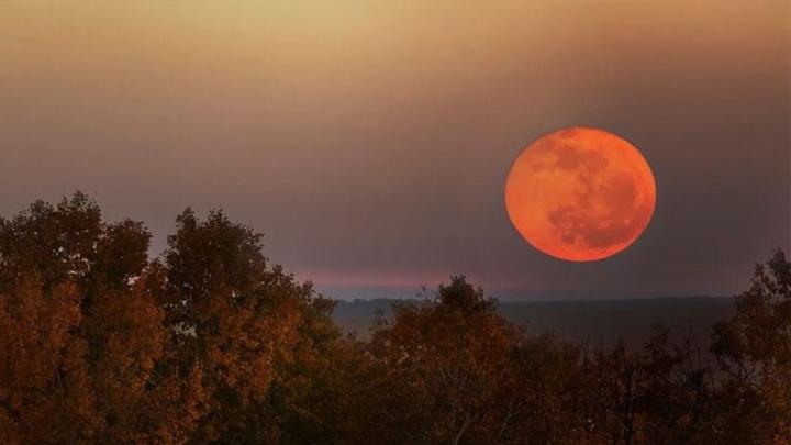 ৭ অক্টোবর বছরের প্রথম সুপারমুন, দেখা যাবে বাংলাদেশেও