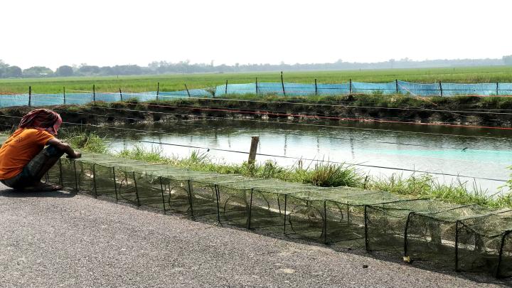 আত্রাইয়ে কিছুতেই থামছে না নিষিদ্ধ চায়না জালের অবাধ ব্যবহার