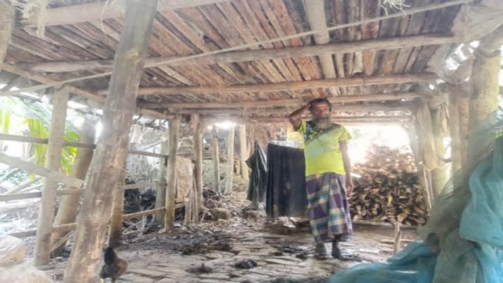 বরগুনার বেতাগীতে দুই গোয়াল ঘর থেকে ০৭ টি গরু চুরি