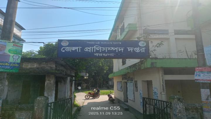 বরগুনায় ২২৬ জন হাতুড়ে প্রাণীর চিকিৎসক সেবা দিচ্ছেন গবাদি পশুর