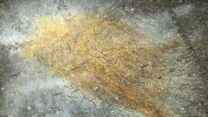 ধানমন্ডি ২৭-এ পরপর দুটি ককটেল বিস্ফোরণ