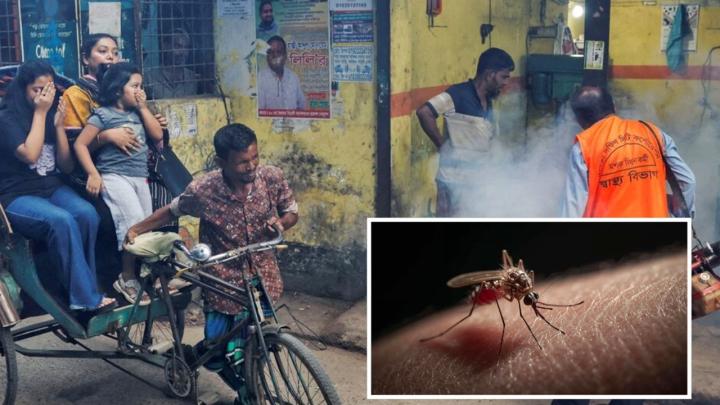 ডেঙ্গুতে একদিনে ৮ মৃত্যু, হাসপাতালে ৭৭৮