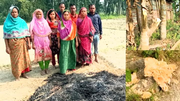 জয়পুরহাট পৈত্রিক সম্পত্তি নিয়ে বিরোধ ‎ ঘরে অগ্নিসংযোগ ও গাছ কেটে ক্ষতিসাধন