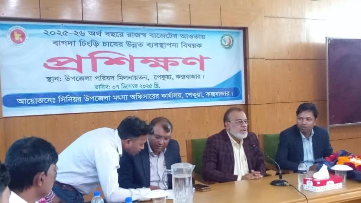 পেকুয়ায় এক দিন ব্যাপী বাগদা চিংড়ি চাষের প্রশিক্ষণ কর্মশালা অনুষ্ঠিত