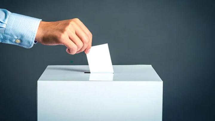 যেভাবে গণভোট অনুষ্ঠিত হবে