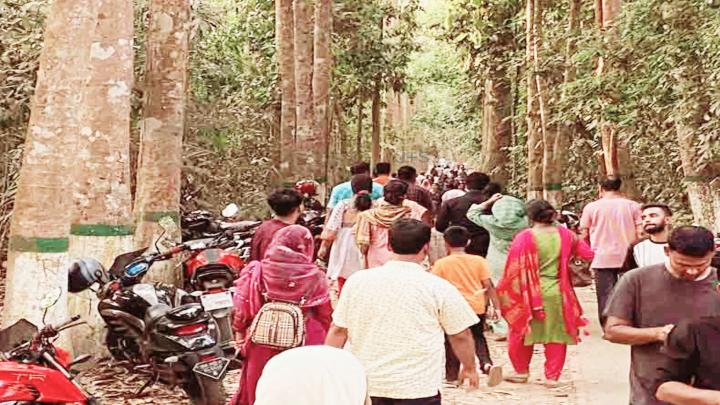 শীতের আমেজে পর্যটকে সরব চায়ের রাজ্য মৌলভীবাজার