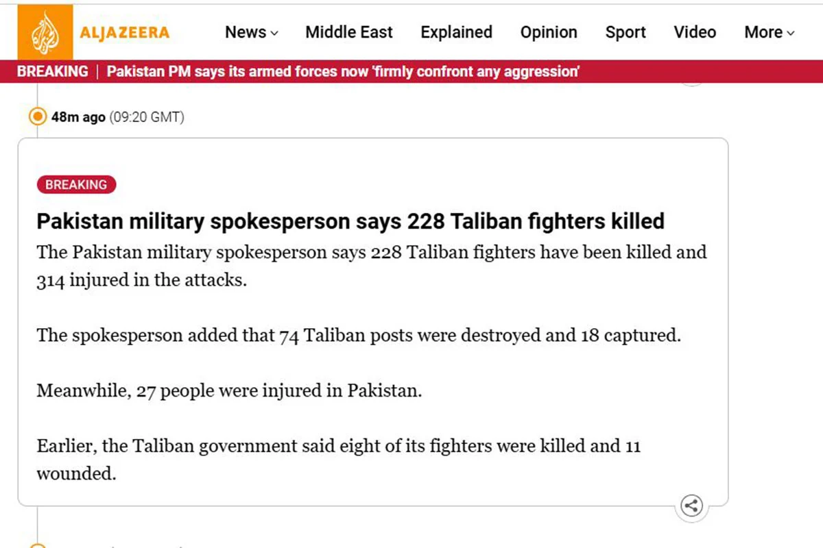 পাকিস্তানের হামলায় ২২৮ তালেবান যোদ্ধা নিহতের দাবি