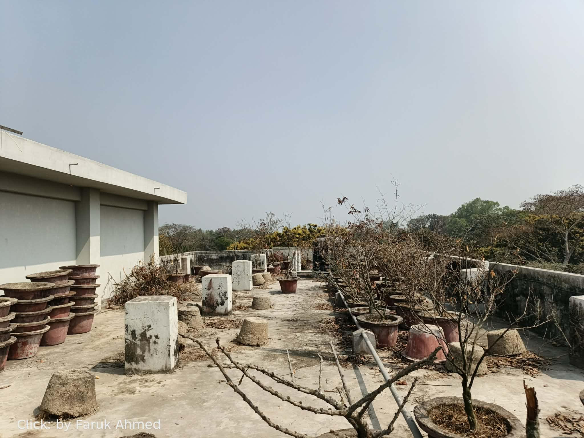 সবুজ স্বপ্ন ভেঙে চুরমার: খানসামা উপজেলা ভবনের ছাদ বাগানে ধ্বংসস্তূপে পরিনত