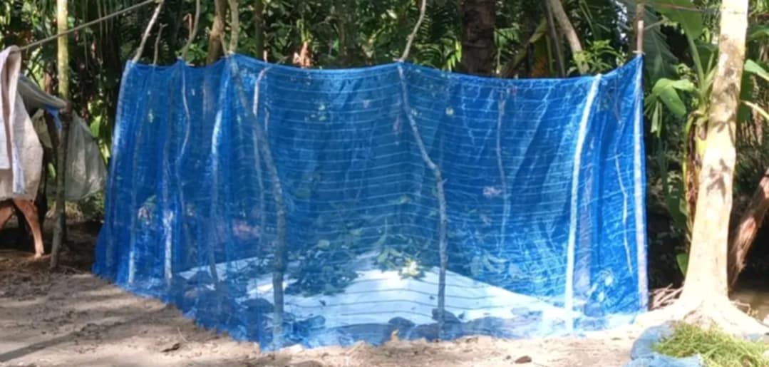 বরগুনার আমতলীতে গ্যাস ট্যাবলেট খেয়ে মাদ্রাসাছাত্রীর মৃত্যু