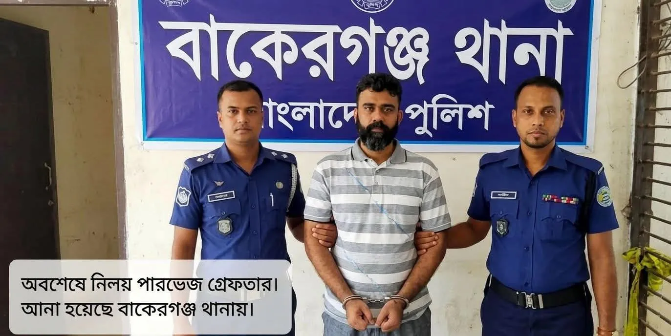ফেসবুক পোস্টে এমপিকে নিয়ে কটূক্তি: ঢাকার ভাটারা থেকে গ্রেফতার নিলয় পারভেজ