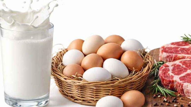 রোজায় ১০ লাখ পরিবারকে কম দামে দুধ-ডিম-মাংস দেবে সরকার