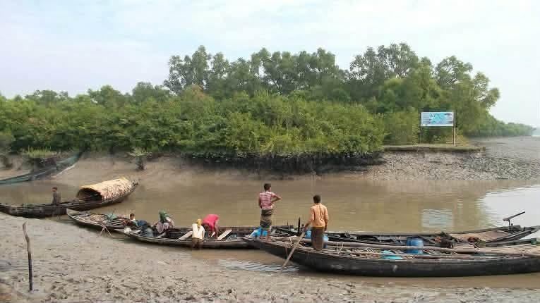সুন্দরবন বন্ধে কর্মহীন হাজারো জেলে বাওয়ালি উপকূলে বাড়ছে দুশ্চিন্তা
