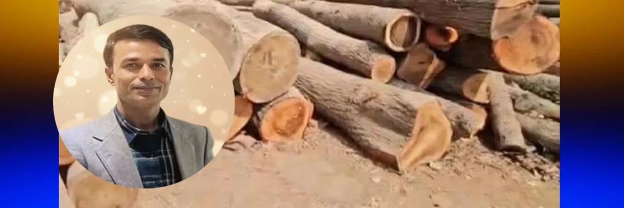 মহম্মদপুর প্রেসক্লাব সভাপতি টুটুলের নামে বন বিভাগের গাছের গুঁড়ি আত্মসাতের অভিযোগে মামলা